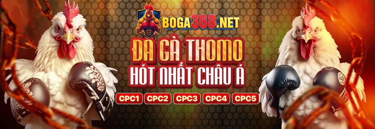 Đá gà trực tuyến f8beta2 login
